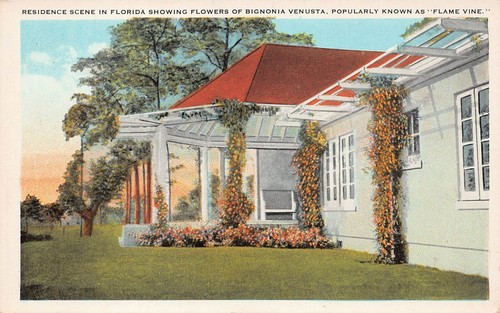 Florida 1920s bungalow home - florida,